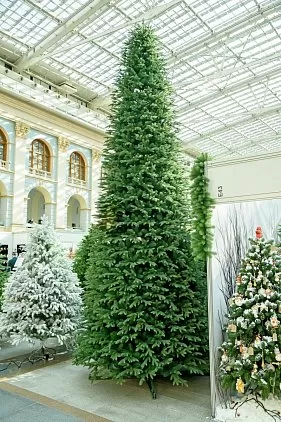 title="АЛТАЙСКАЯ