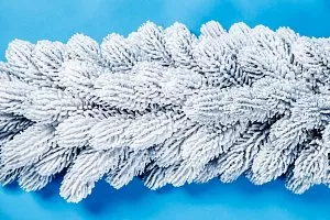 Ветка Русская Императрица заснеженная