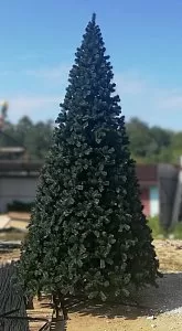 АФИНА (стволовая) 3,5 м - Купить в Москве