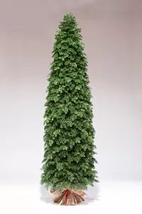 ТУЯ 120 см - Купить в Москве