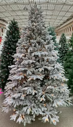 title="КОРОЛЕВА