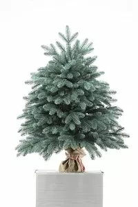 МАДЛЕН ГОЛУБАЯ 60 см МАДЛЕН ГОЛУБАЯ 60 см - Купить в Москве