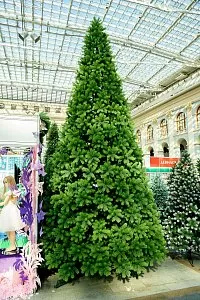 РУССКАЯ (стволовая) 3 м - Купить в Москве