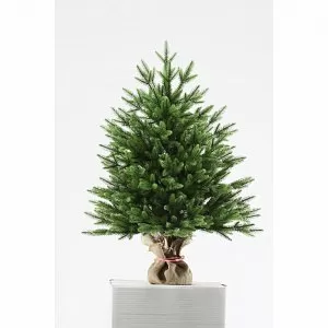 ЮЛИЯ ПРЕМИУМ 60 см ЮЛИЯ ПРЕМИУМ 60 см - Купить в Москве