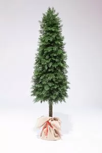 ТУЯ НА НОГЕ 150 см - Купить в Москве