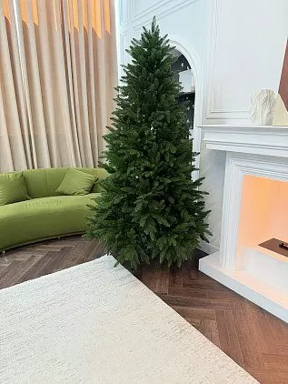 title="Ель