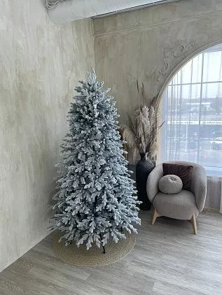 title="Ель