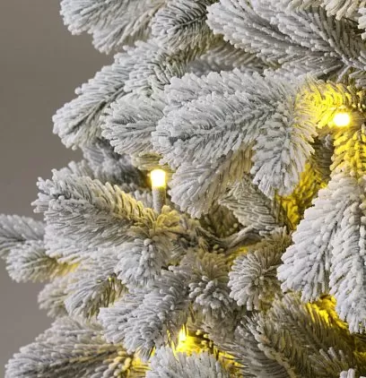 title="КОРОЛЕВА