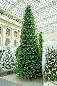 АЛТАЙСКАЯ (стволовая) 3,5 м - Купить в Москве