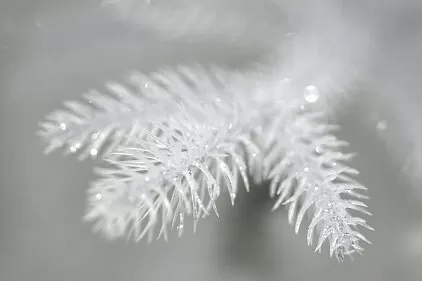 title="КРИСТАЛЬНАЯ