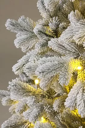 title="КОРОЛЕВА