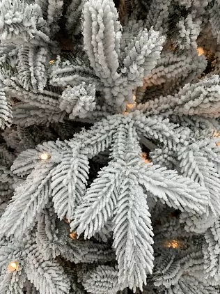 title="КОРОЛЕВА