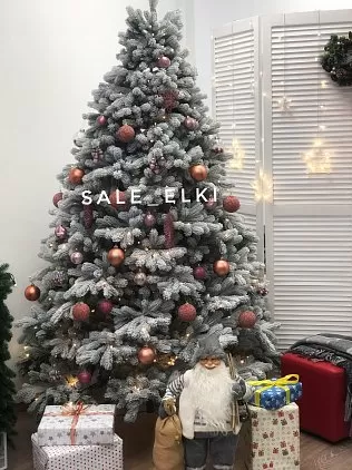 title="КОРОЛЕВА