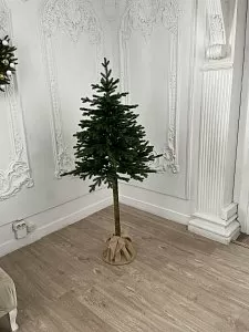 КАНТРИ 150 см - Купить в Москве