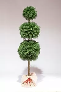 ТУЯ 3 ШАРА 210 см - Купить в Москве