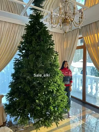 title="НОВЕЛЛА